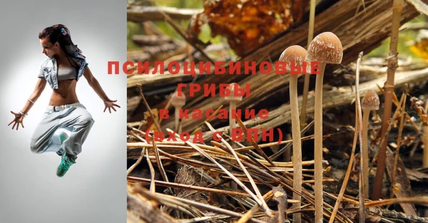 Альфа ПВП Карталы