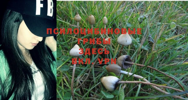 не бодяженный Иноземцево