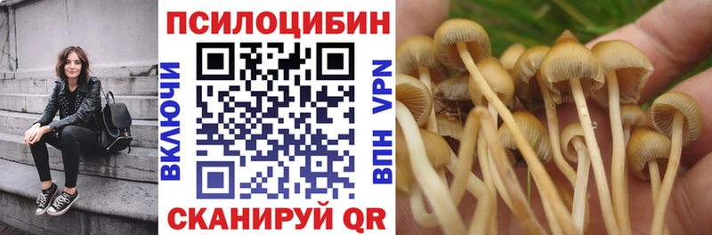 Купить закладки  Рудня  Псилоцибиновые грибы мухоморы 